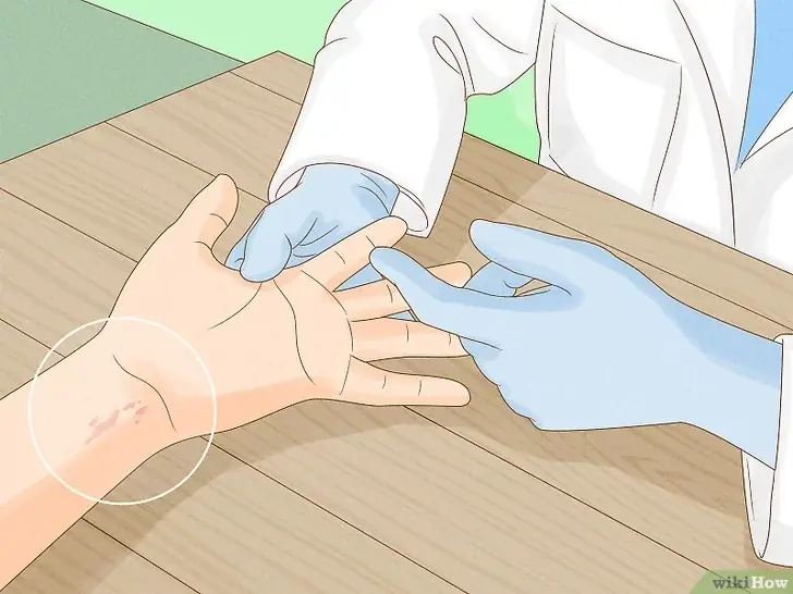 A Complete Guide to Getting Rid of Bed Bugs