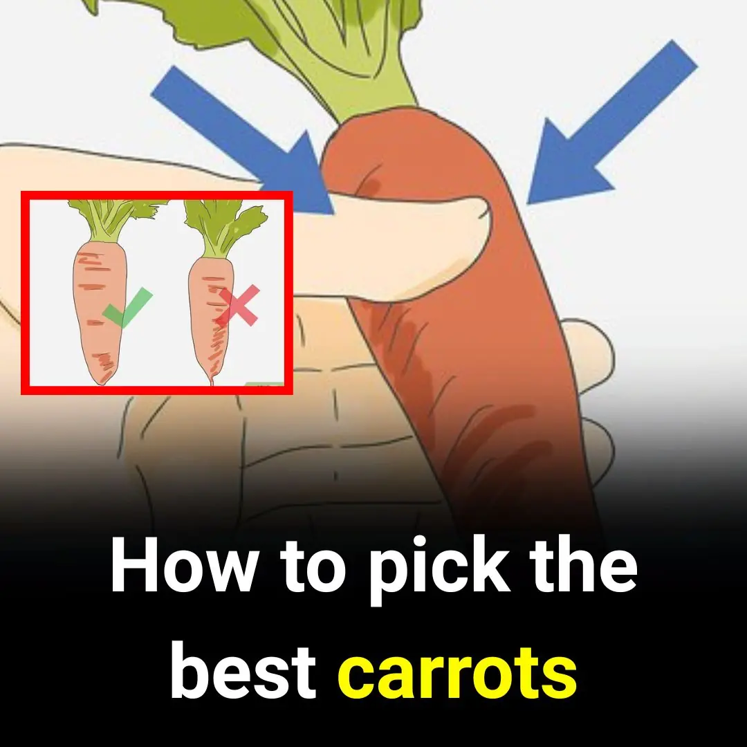How to pick the best carrots