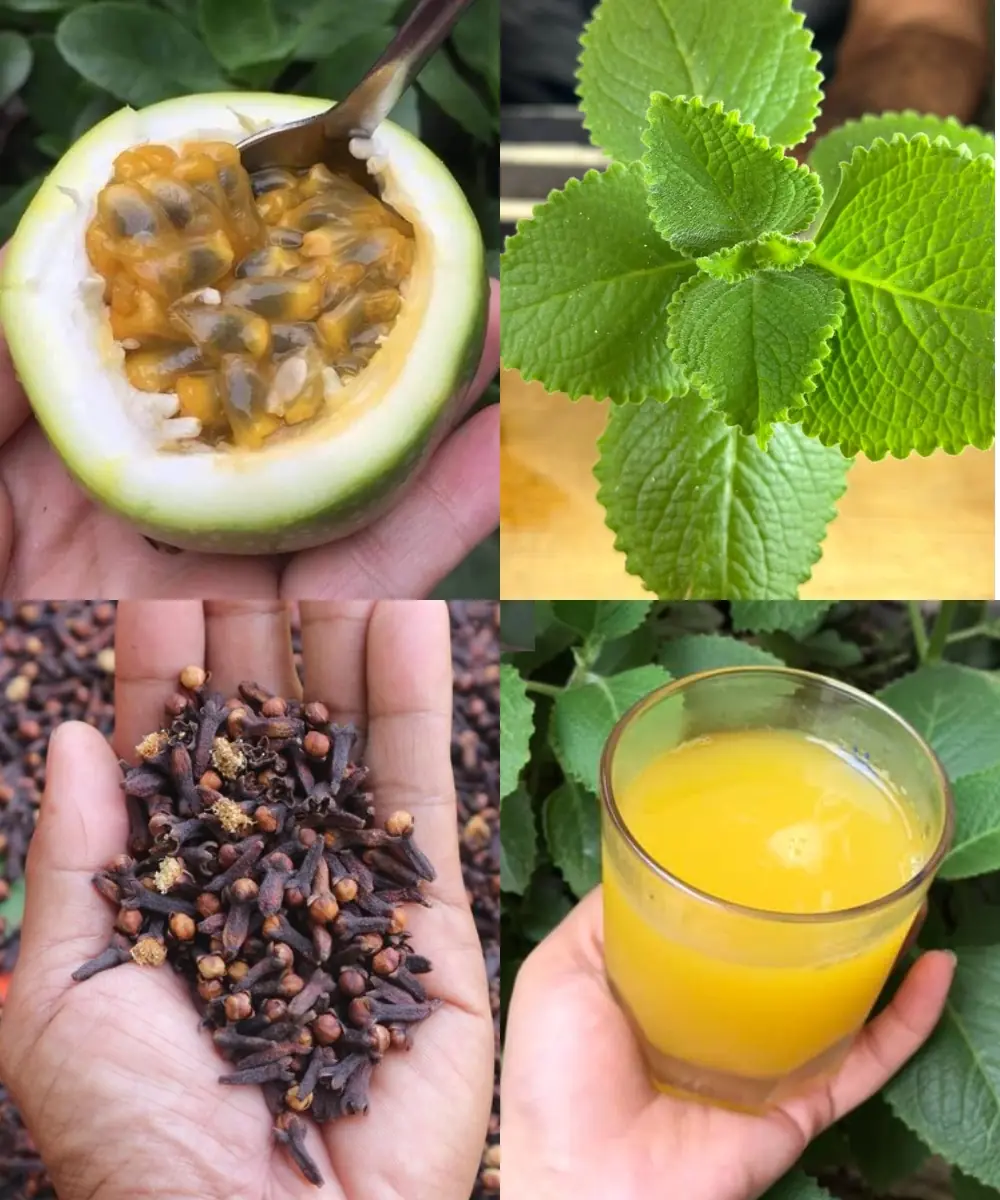 "This is the recipe that’s taking patients away from the ophthalmologist because it cures blurry vision