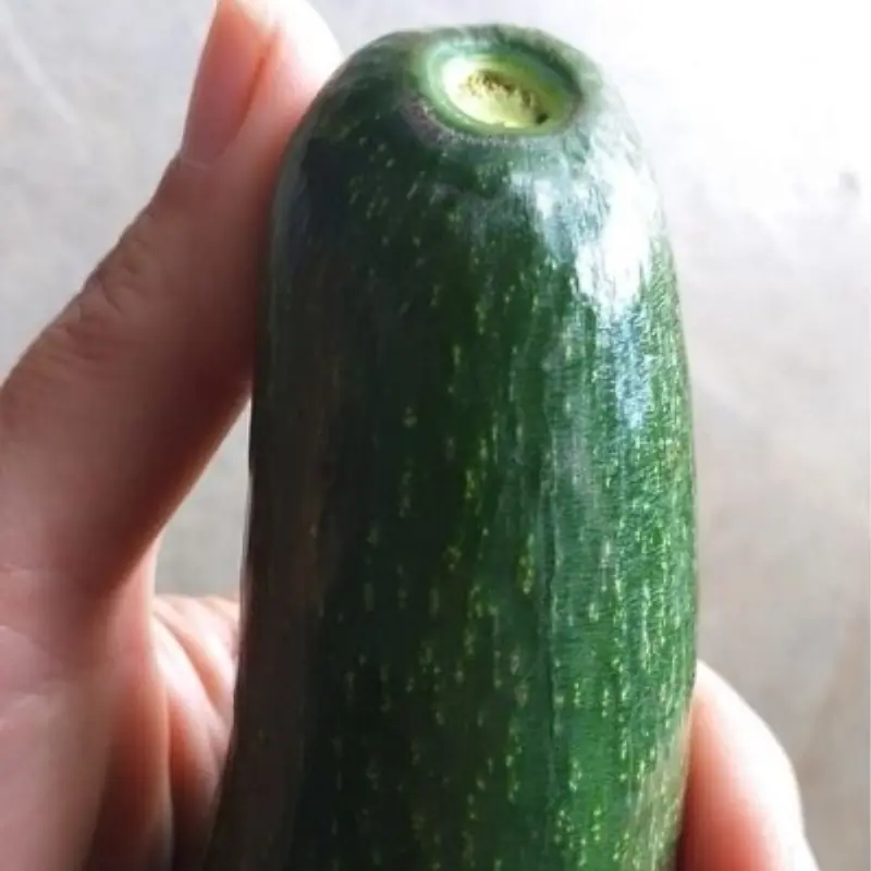 Tips for Choosing Creamy, Delicious, and High-Quality Avocados Without Bitterness or Toughness