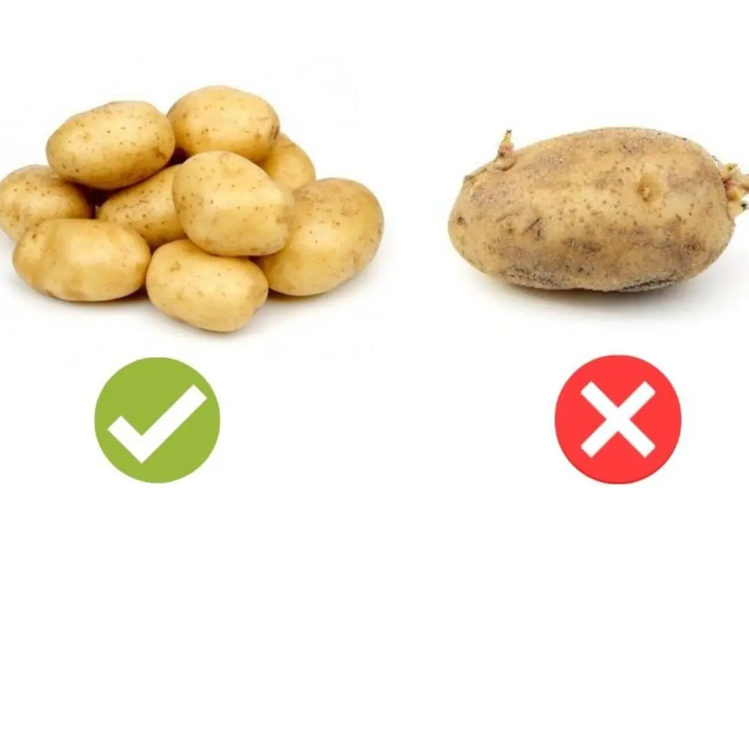 Buy potatoes by looking at one point, you will know they are good and not afraid of preservatives