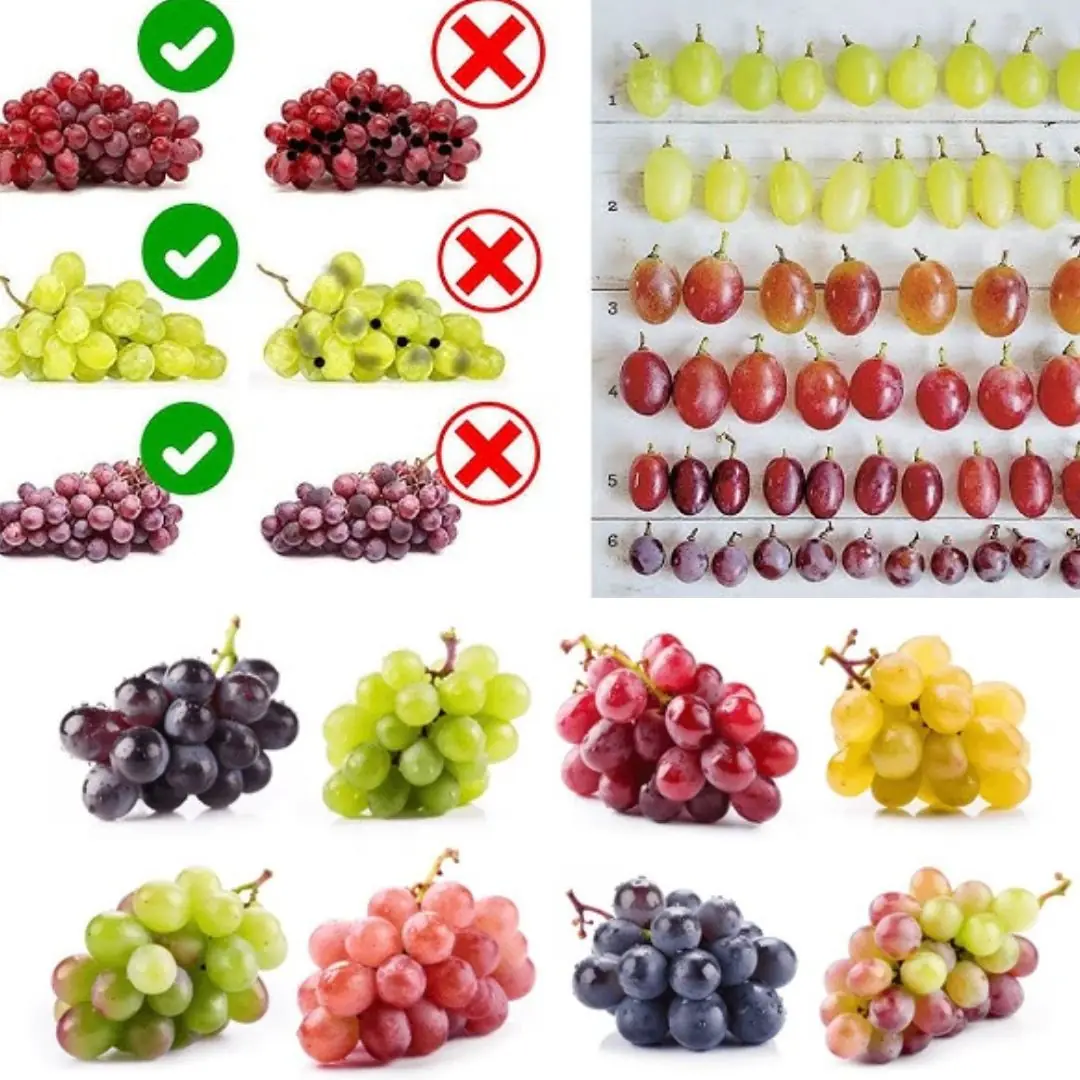The Simple Trick to Picking the Best-Tasting Grapes at the Supermarket
