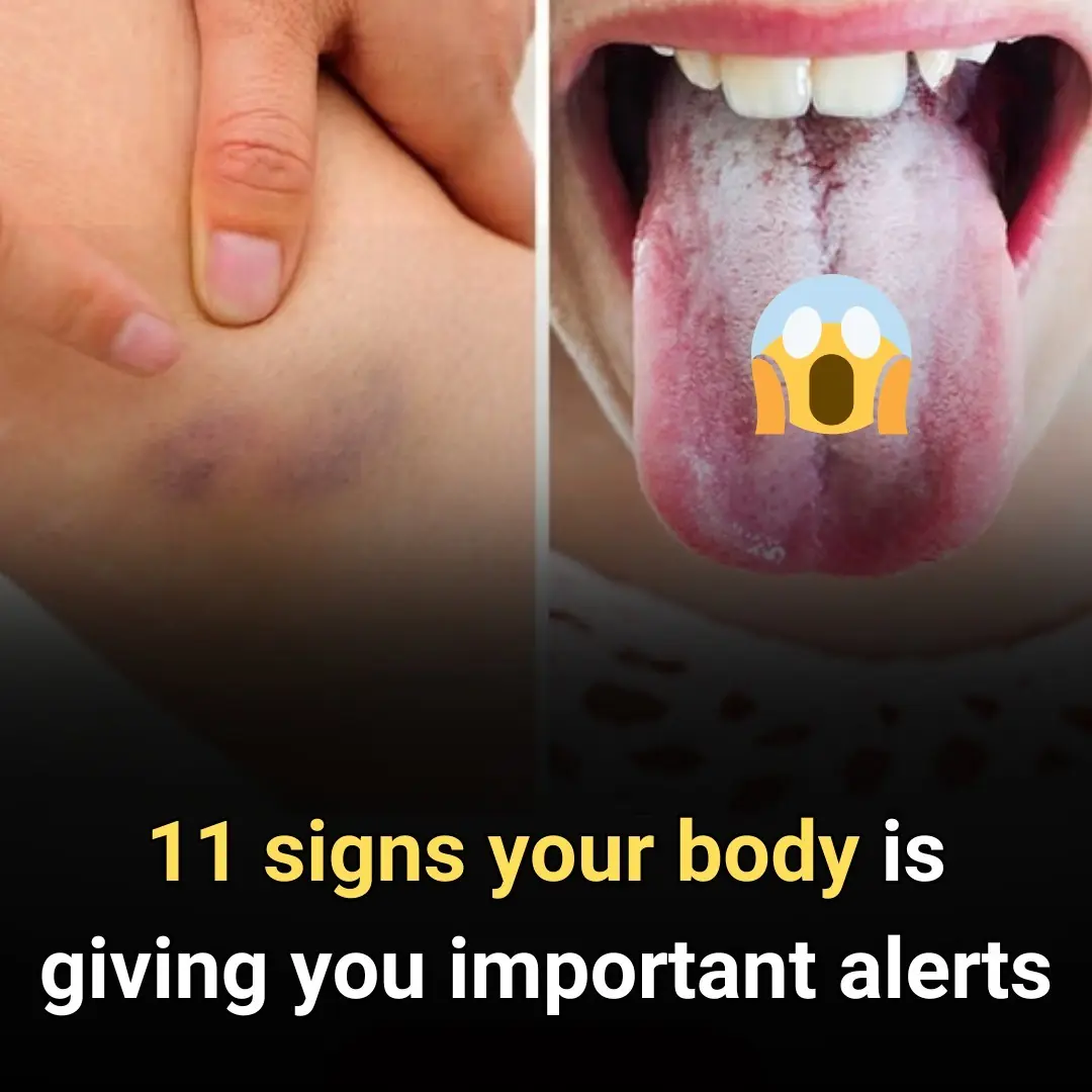 11 Vital Warning Signs from Your Body You Should Never Ignore