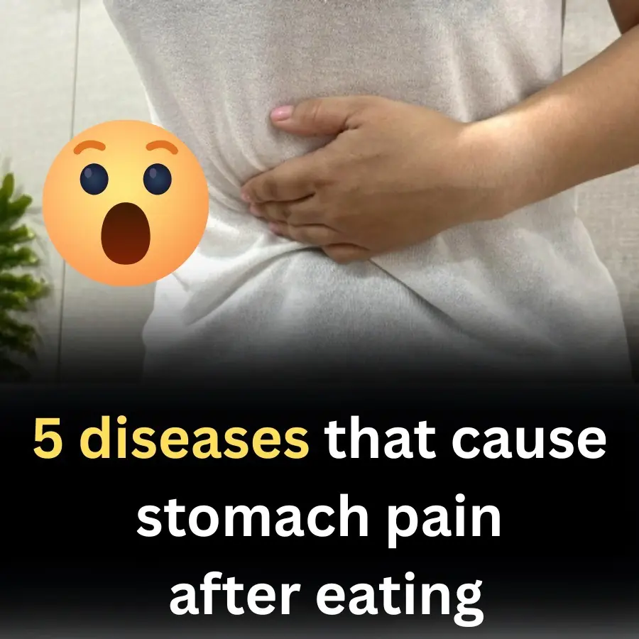5 Medical Conditions That Can Cause Stomach Pain After Eating