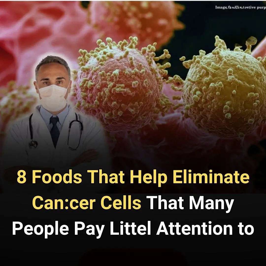 8 Foods That May Help Support Your Body in Fighting Cancer