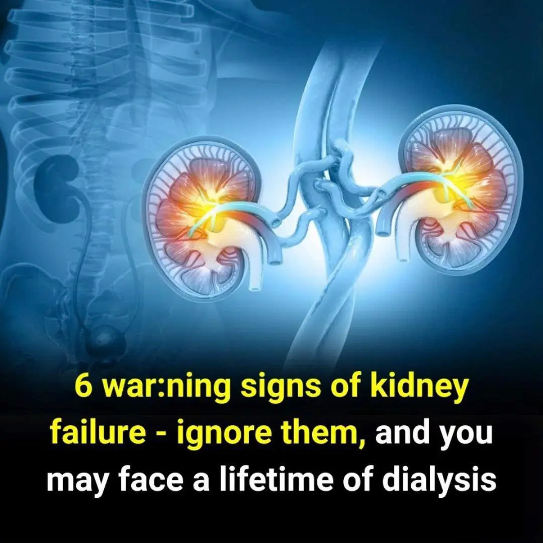 Kidney Failure in Young People: Warning Signs You Shouldn’t Ignore