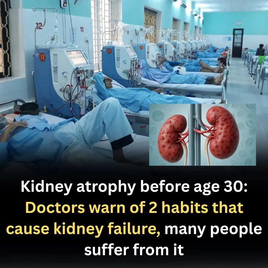 Kidney Atrophy Before Age 30: Two Everyday Habits to Watch Before It's Too Late