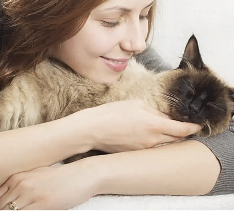 A Heartwarming Journey with My Cat