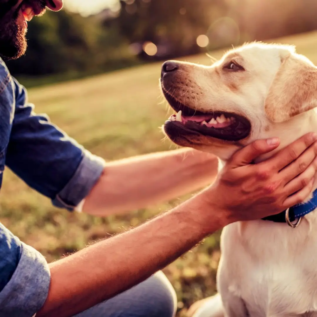 The Last Letter of Marley