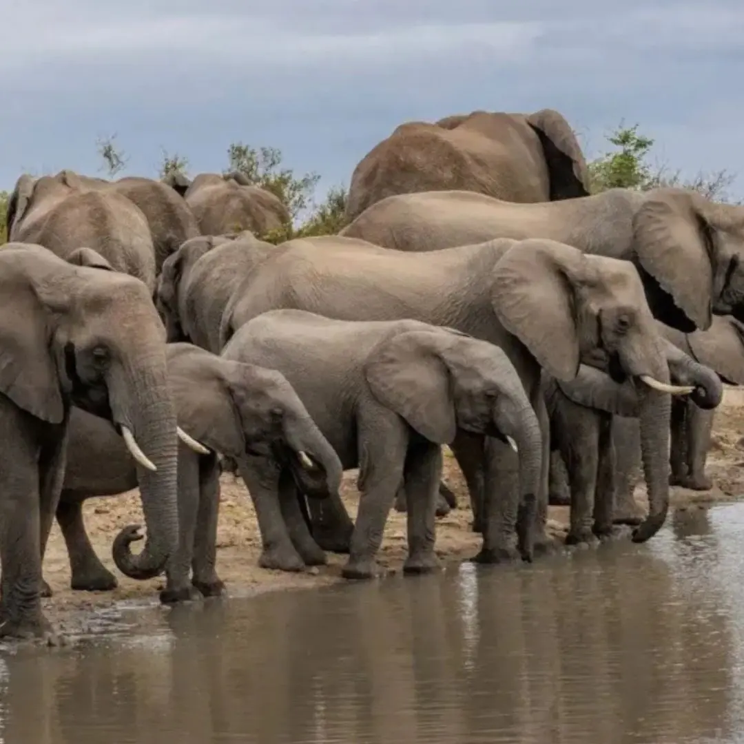 Where the River Remembers